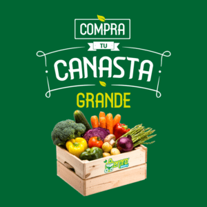 canasta-grande