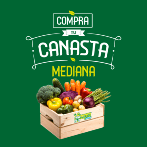 canasta-mediana