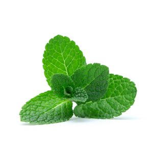 Menta 1 Kg.