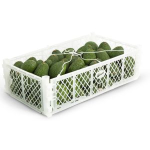 Palta Hass Chile 10 Kg.